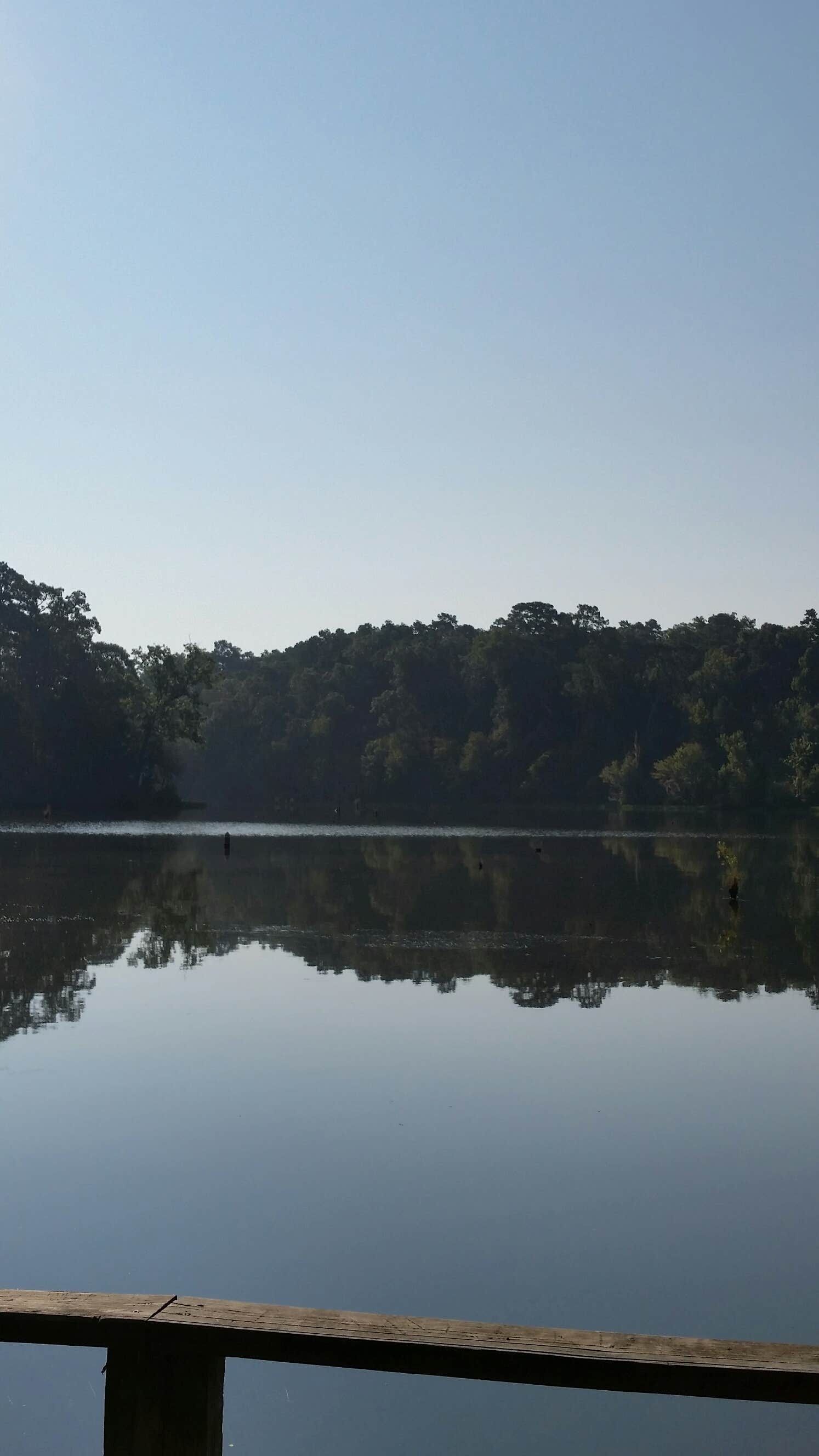 Kincaid Lake Campground The Dyrt