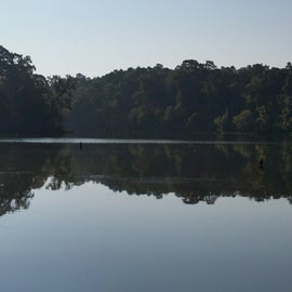 Part of lake