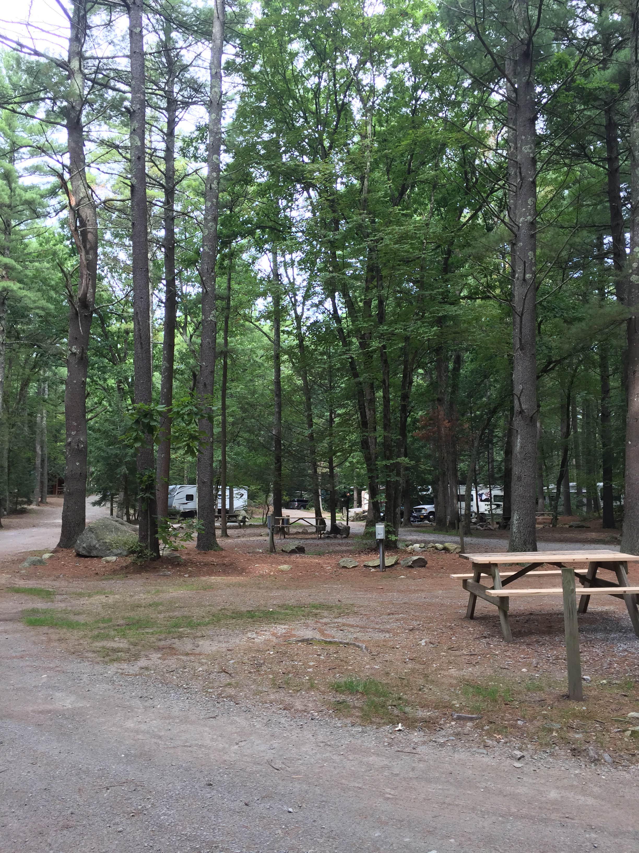 Camper submitted image from Spacious Skies Minute Man - 4