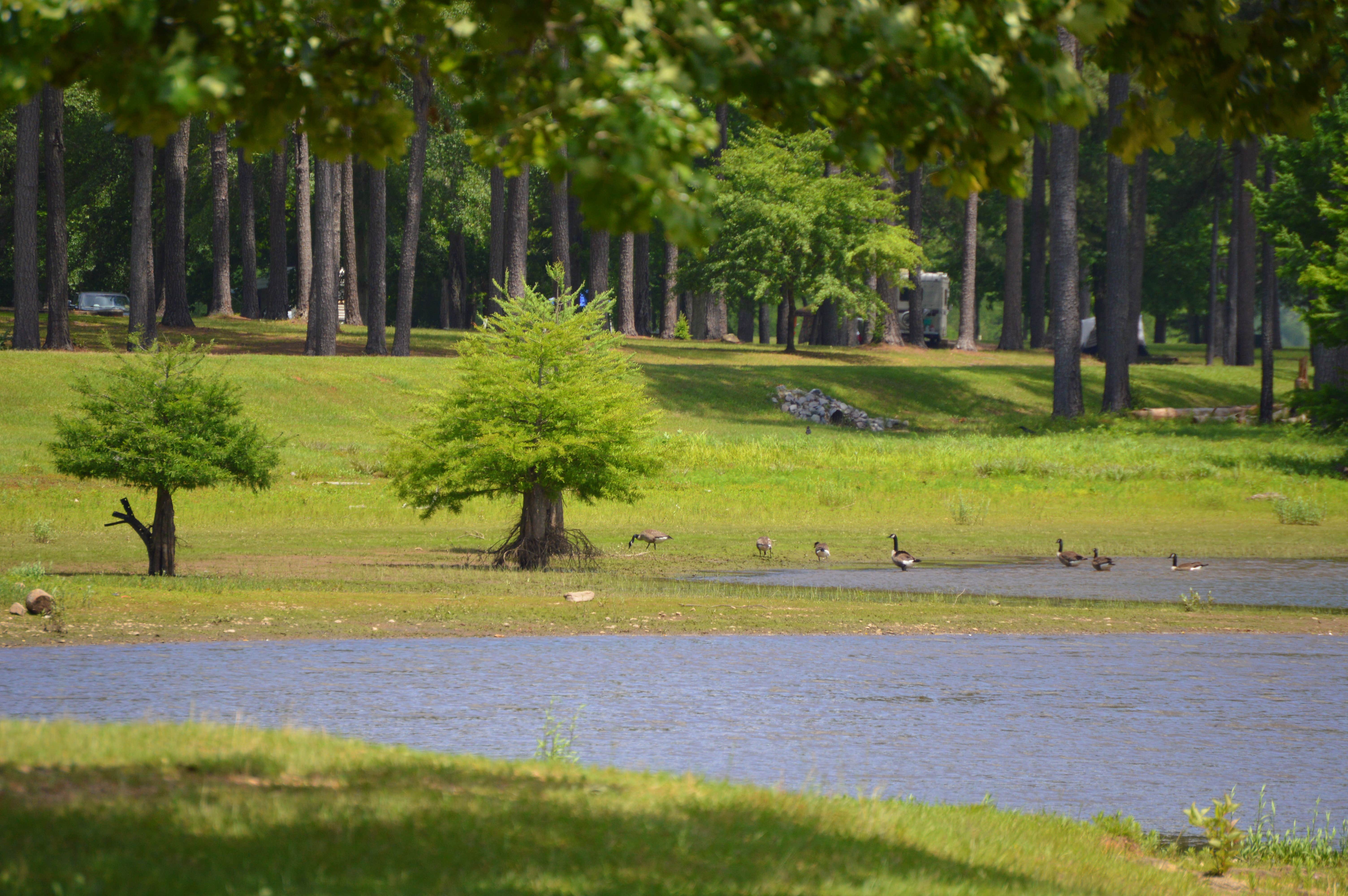 Camper-submitted photo at Chattahoochee Old Town Campground near Franklin, GA