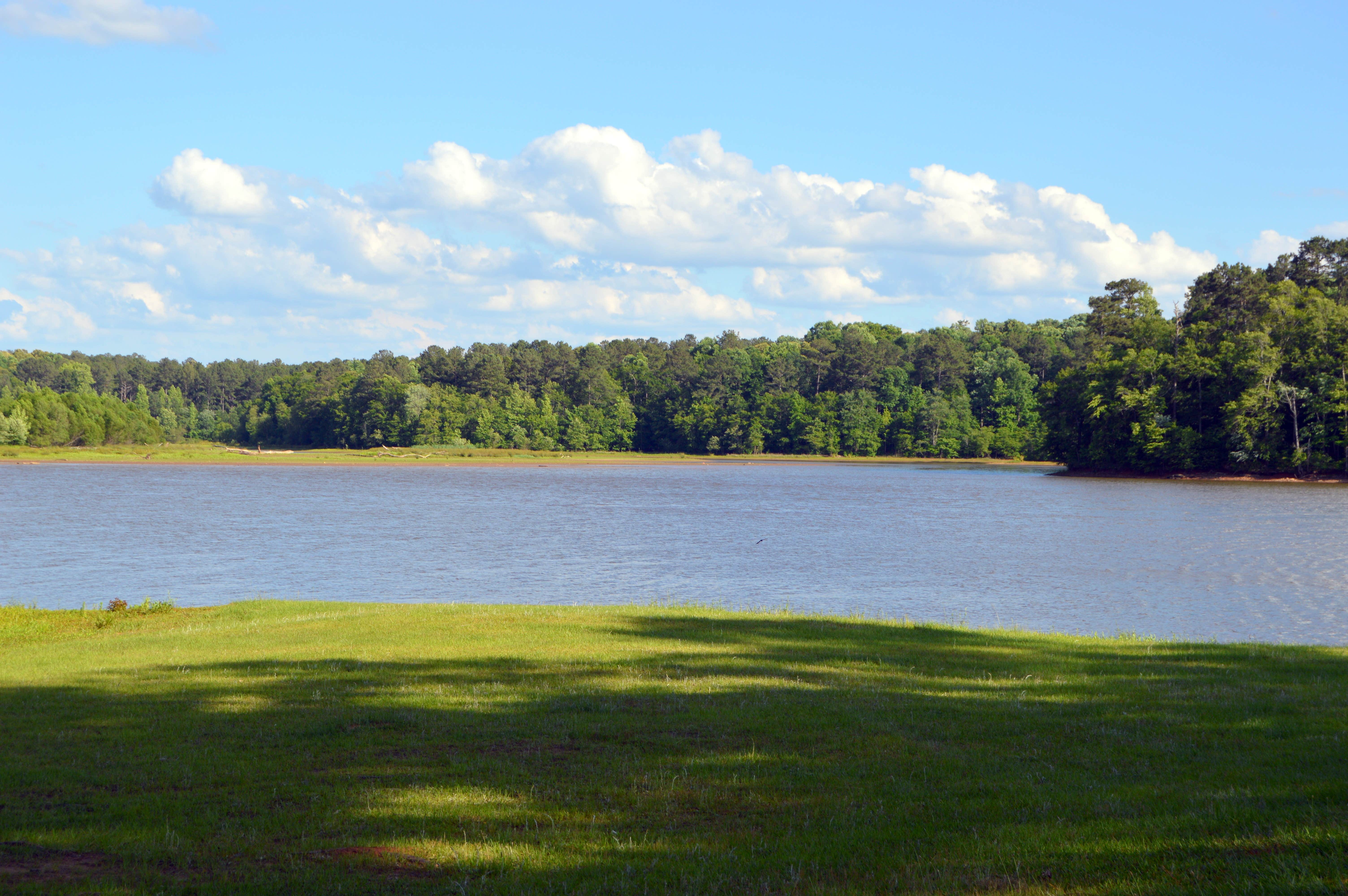 Camper submitted image from Chattahoochee Old Town Campground - 3