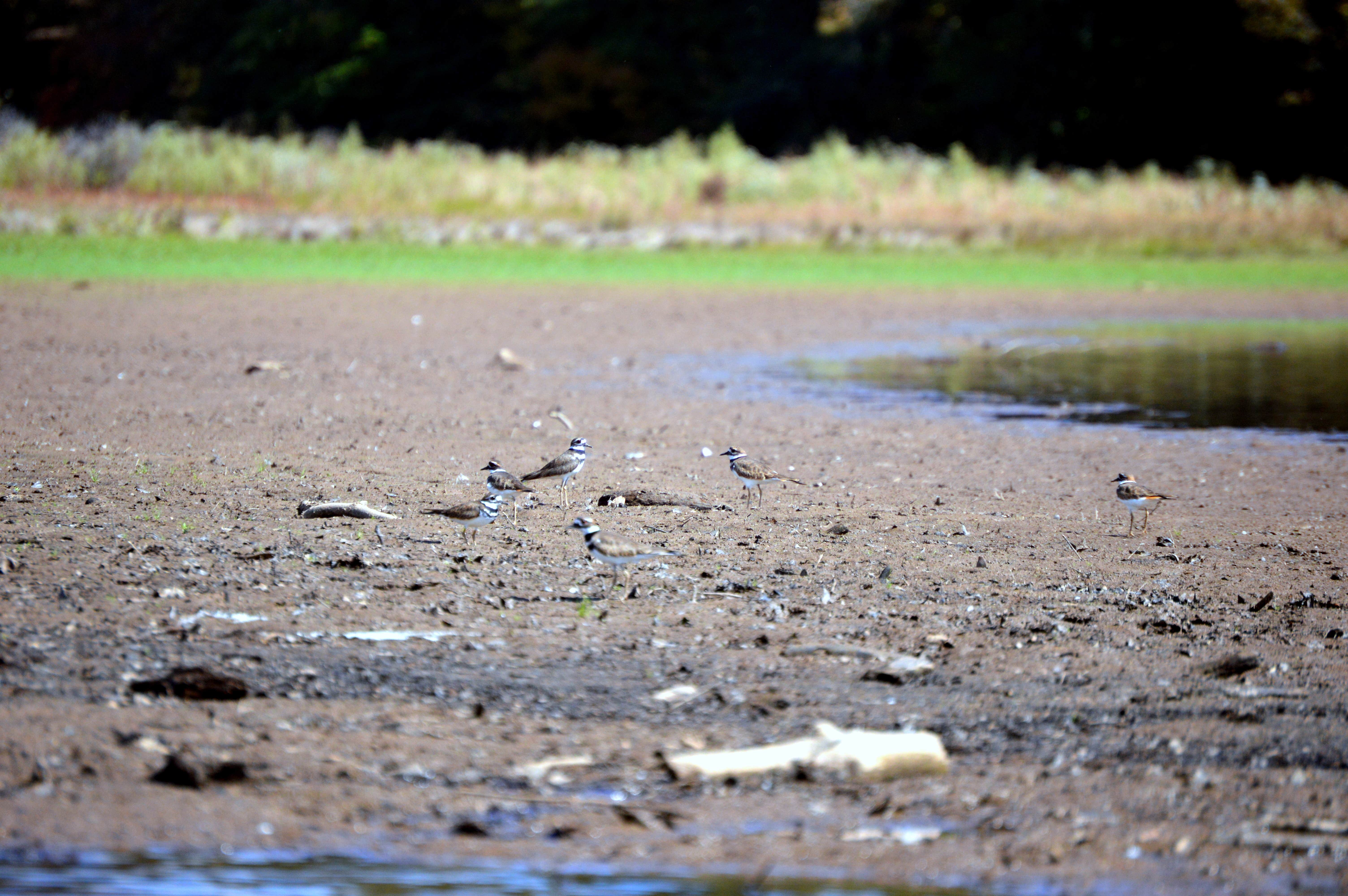 Camper-submitted photo at Chattahoochee Old Town Campground near Franklin, GA
