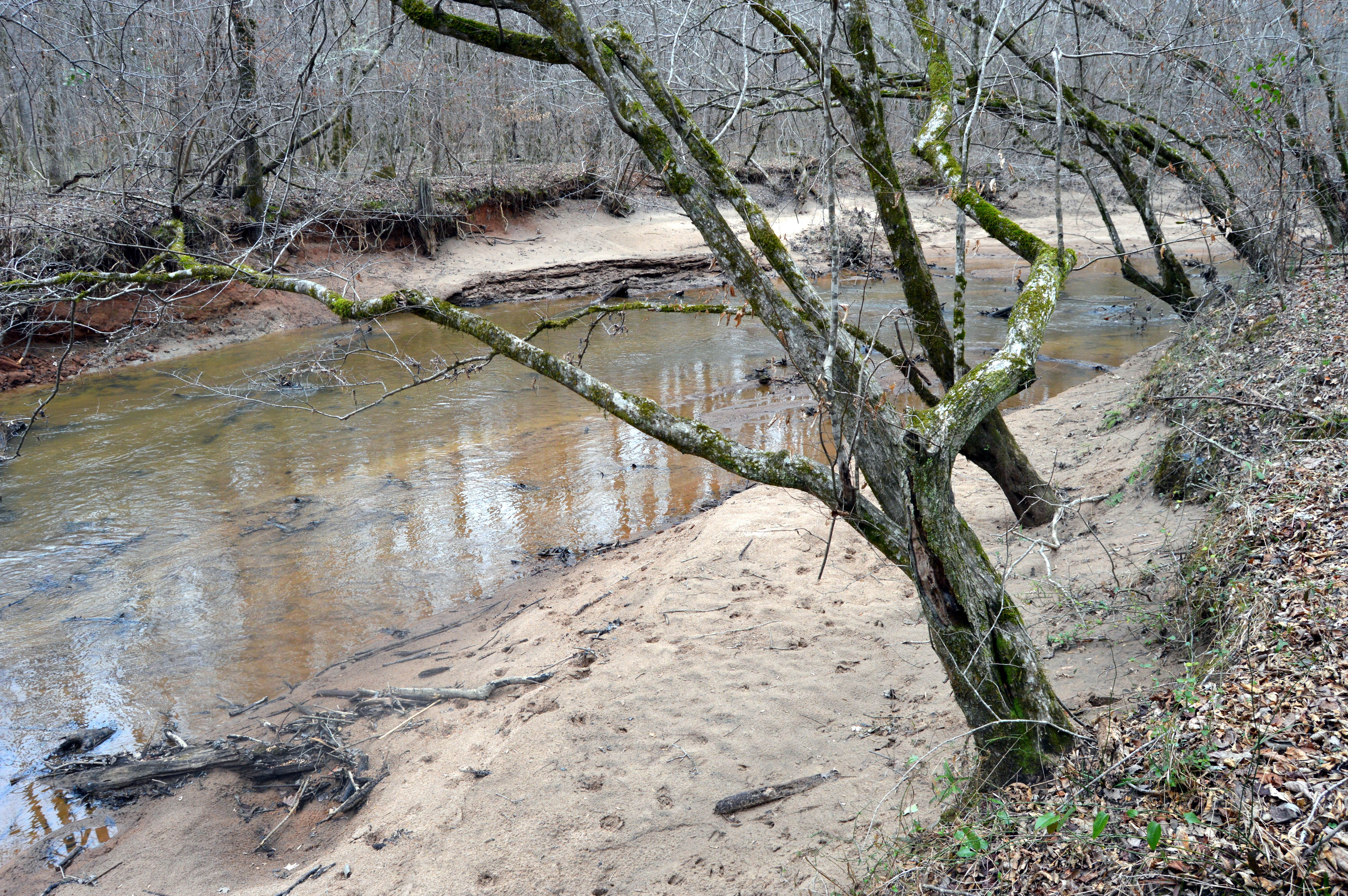 Camper-submitted photo at Chattahoochee Old Town Campground near Franklin, GA