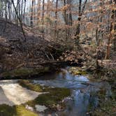 Review photo of Chattahoochee Old Town Campground by Dorraine S., September 24, 2017