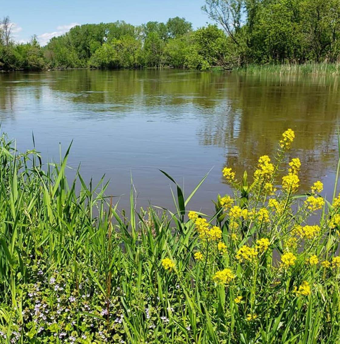 Honeysuckle Hollow — Chain O' Lakes State Park