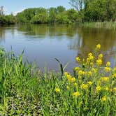 Review photo of Honeysuckle Hollow — Chain O' Lakes State Park by GoWhereYouAreDraw N., May 12, 2020