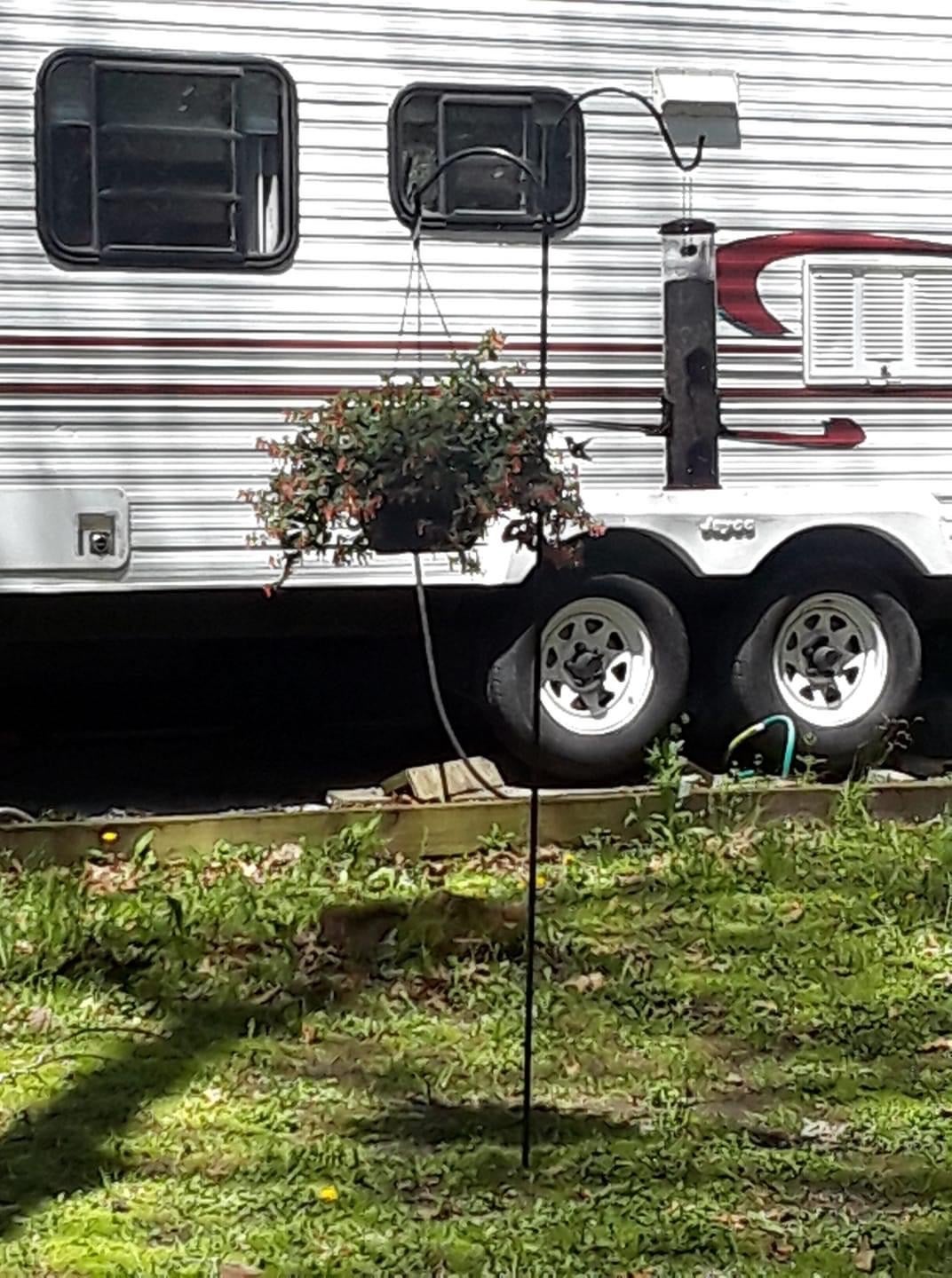 Camper submitted image from Bluegrass Campground - 2