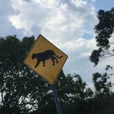 Review photo of Flamingo Campground — Everglades National Park by Elizabeth G., September 25, 2017