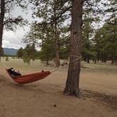 Review photo of Badger Flats by Anthony B., May 14, 2020