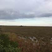 Review photo of Flamingo Campground — Everglades National Park by Elizabeth G., September 25, 2017
