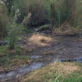 Review photo of Flamingo Campground — Everglades National Park by Elizabeth G., September 25, 2017