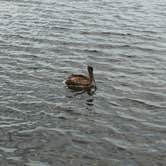 Review photo of Elliott Key — Biscayne National Park by Elizabeth G., September 25, 2017
