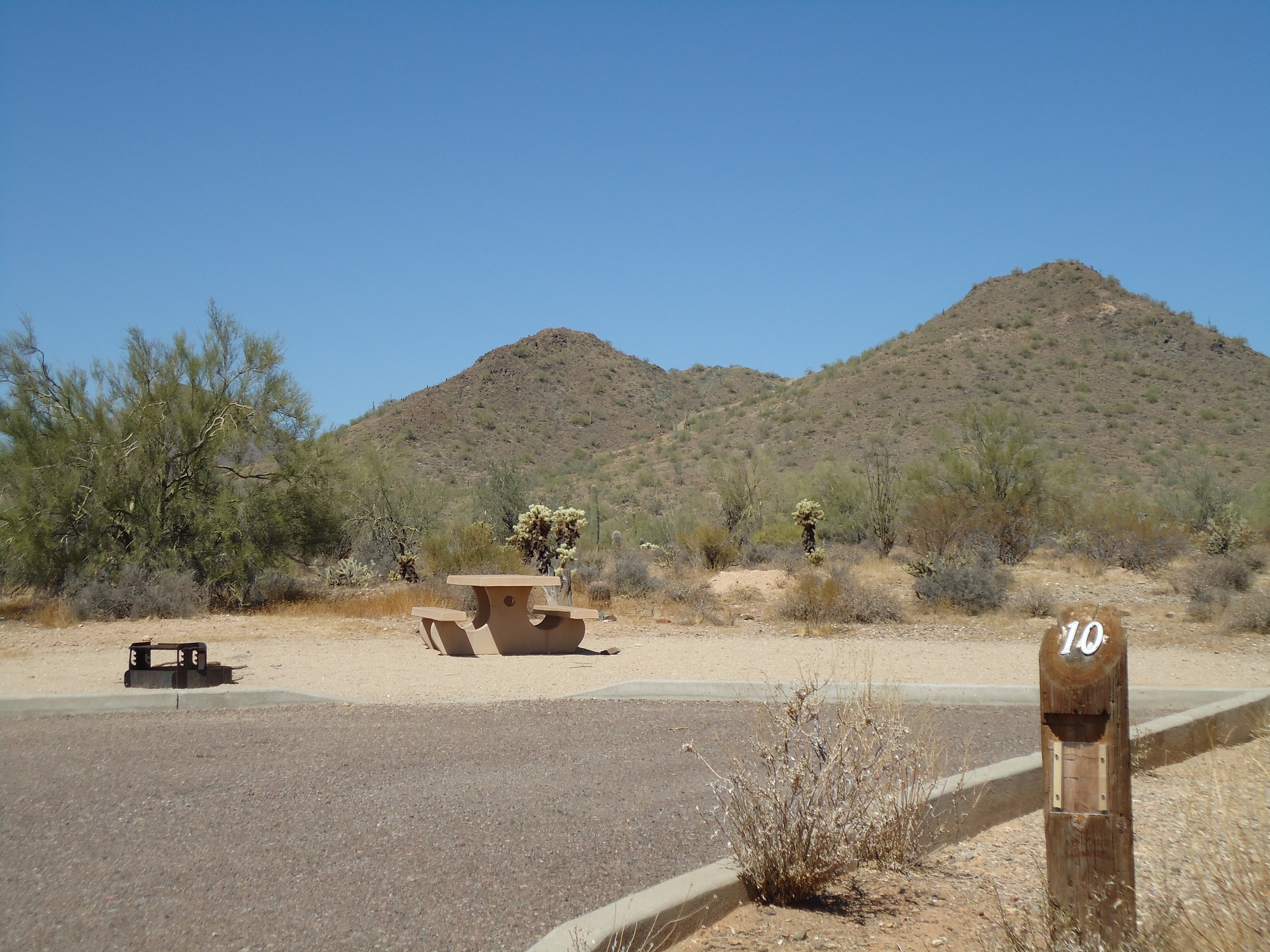 Camper submitted image from Cave Creek Regional Park - 2