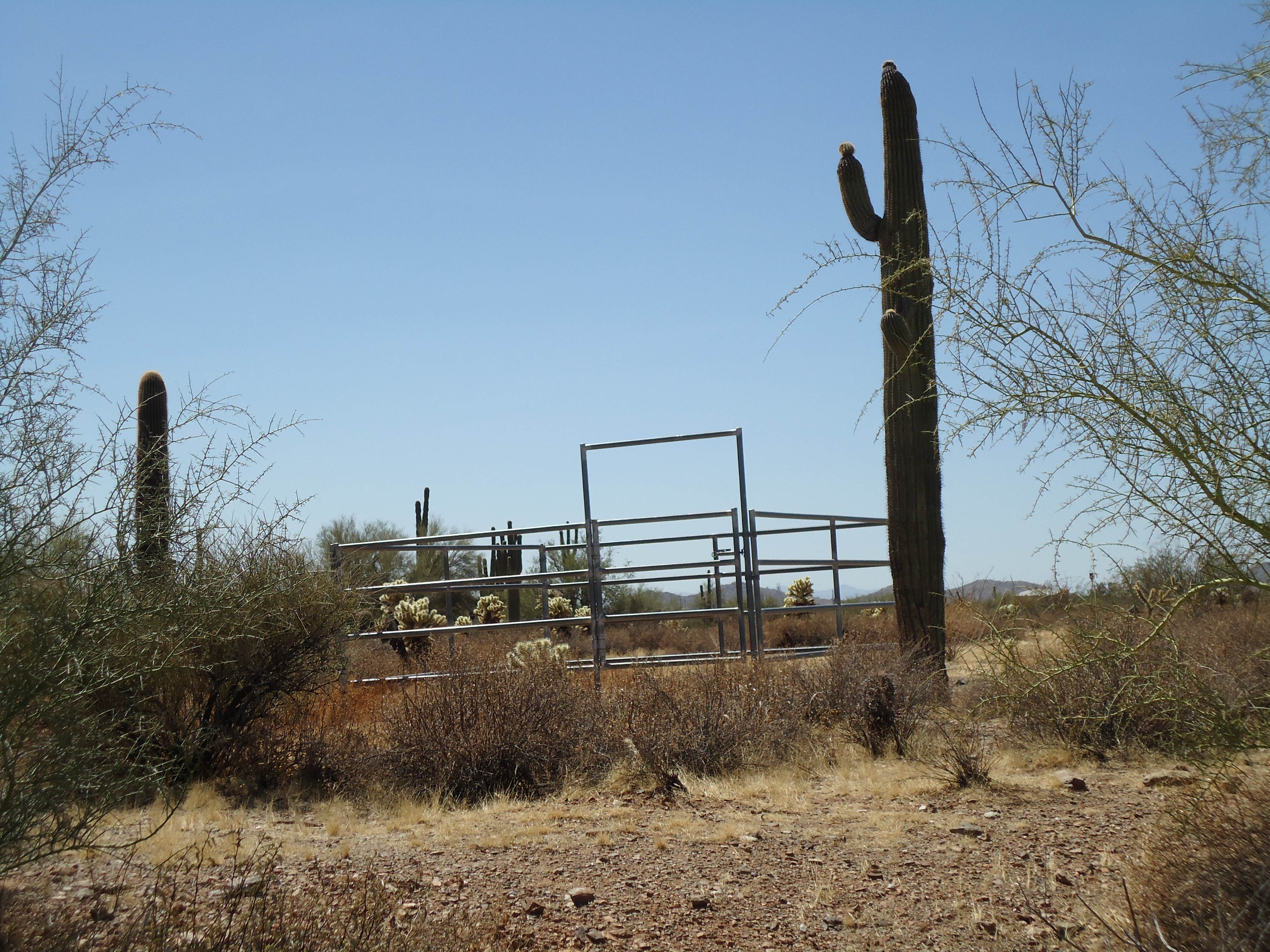 Sun City West photo 3