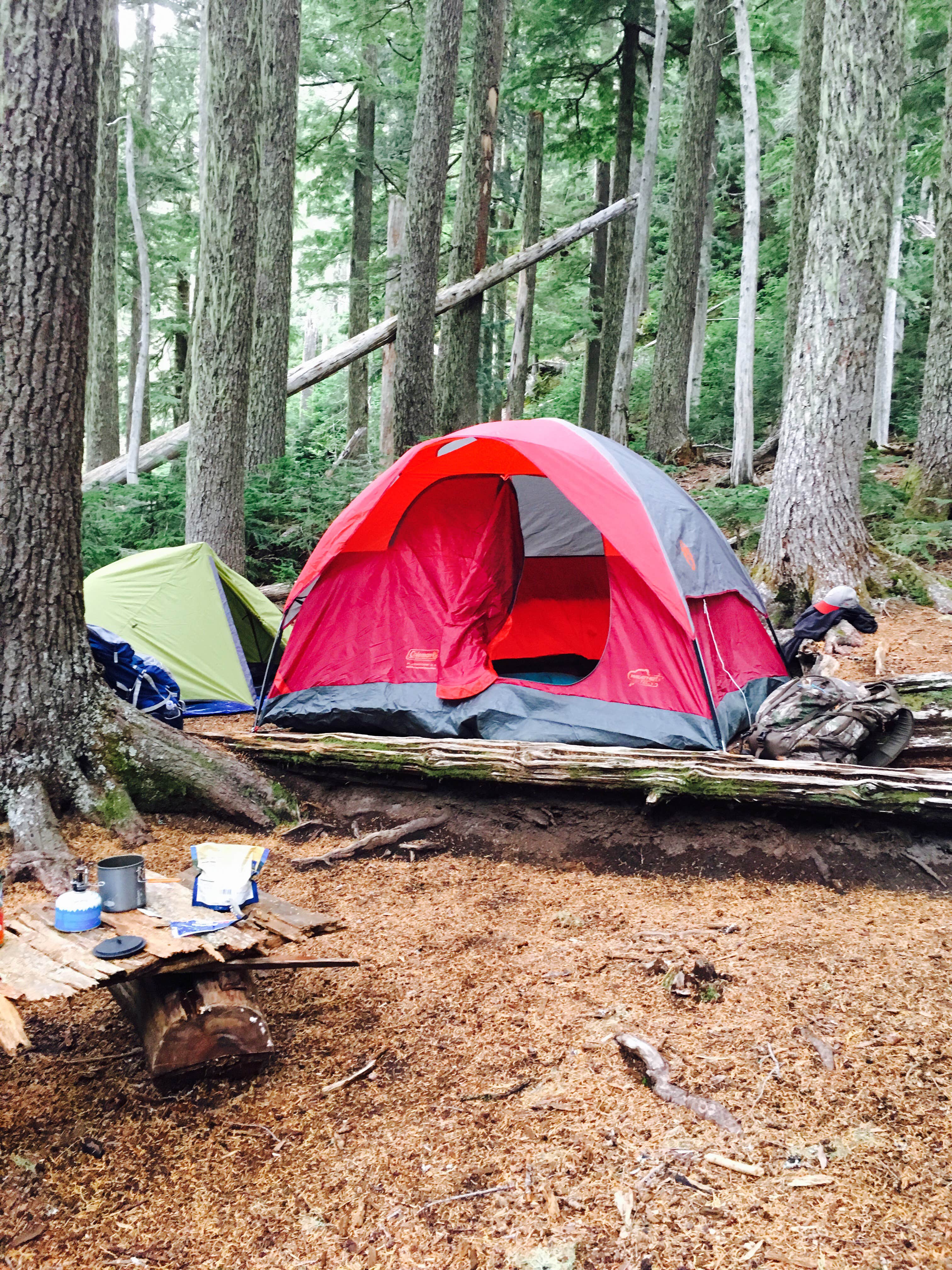 Trevor L.'s photo of tent camping at Eagles Roost Camp — Mount Rainier National Park near Lake Tapps, WA