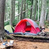 Review photo of Eagles Roost Camp — Mount Rainier National Park by Trevor L., September 25, 2017