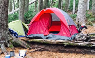Trevor L.'s photo of tent camping at Eagles Roost Camp — Mount Rainier National Park near Olympia, WA