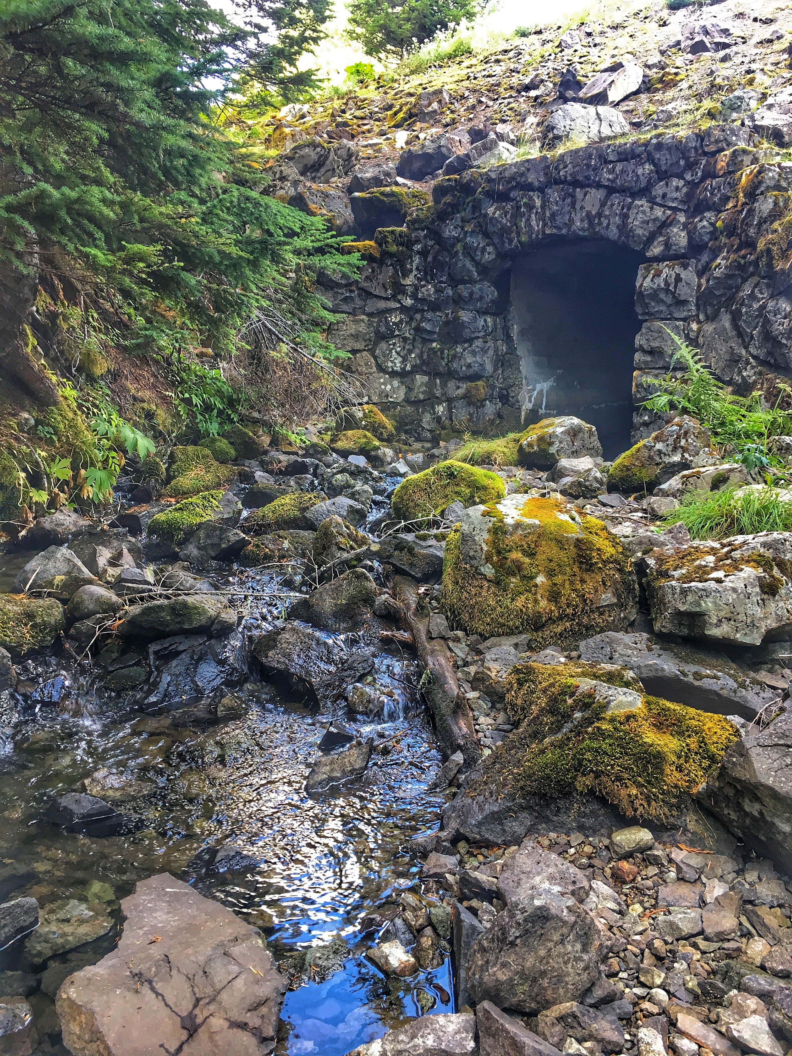 Camper-submitted photo at Eagles Roost Camp — Mount Rainier National Park near Lake Tapps, WA