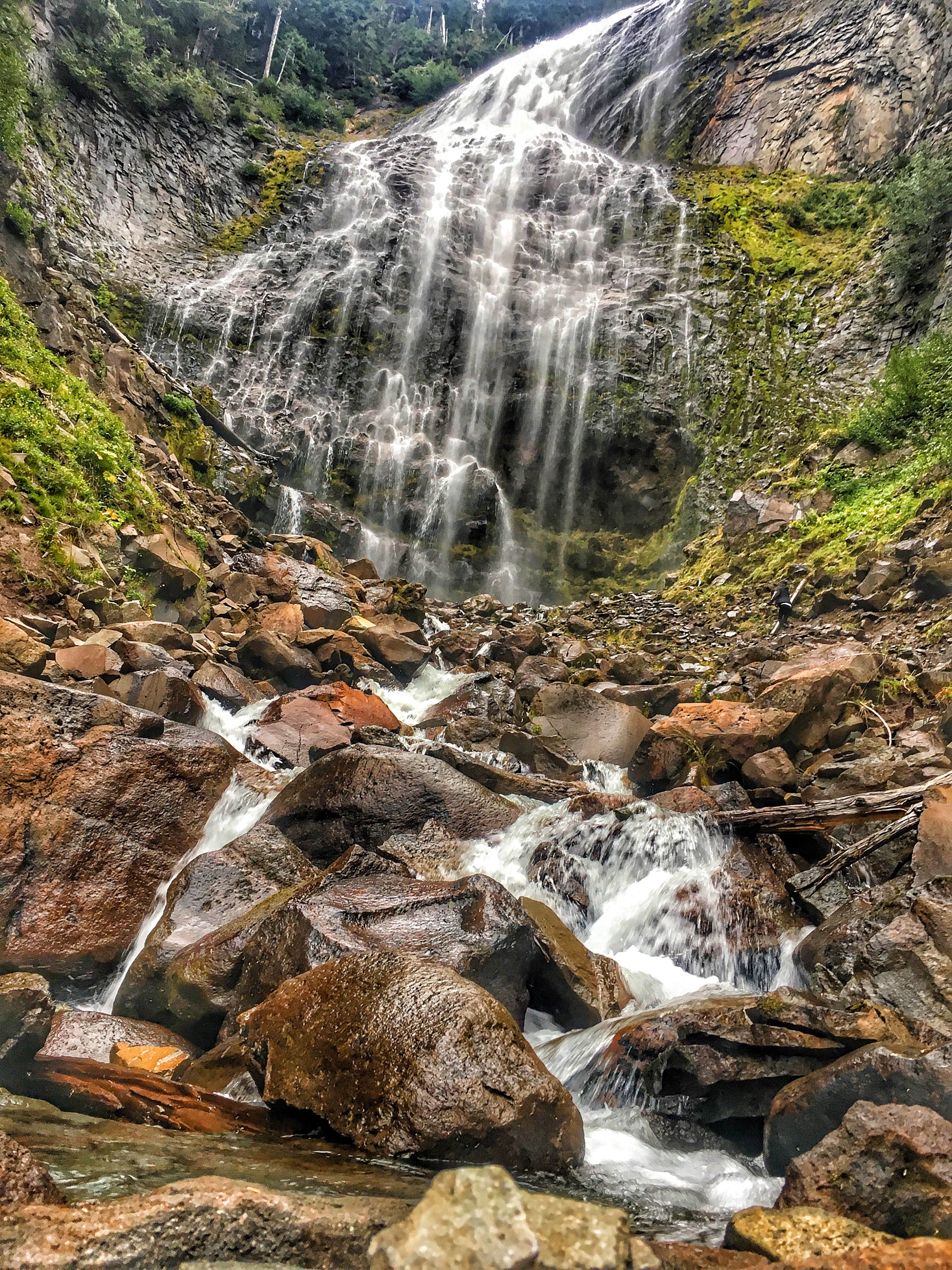 Camper submitted image from Eagles Roost Camp — Mount Rainier National Park - 2