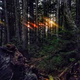 Review photo of Eagles Roost Camp — Mount Rainier National Park by Trevor L., September 25, 2017