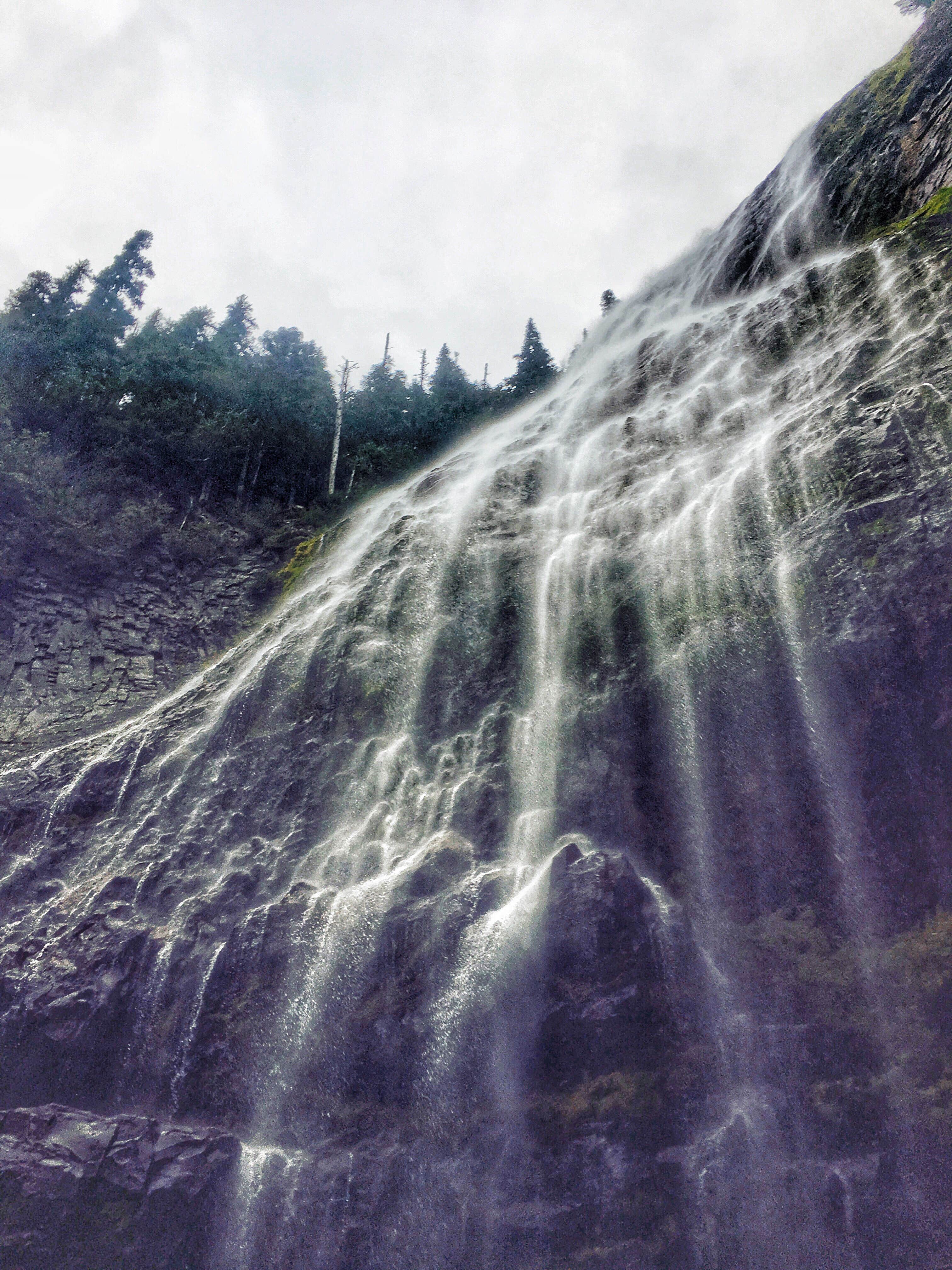 Camper submitted image from Eagles Roost Camp — Mount Rainier National Park - 3