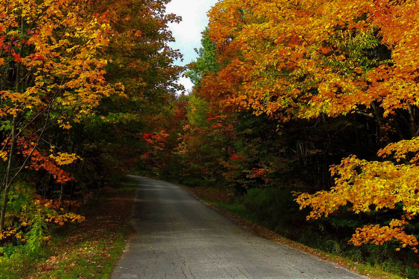 Camper submitted image from Woodford State Park Campground - 4