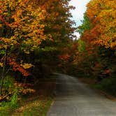 Review photo of Woodford State Park Campground by Tara S., September 25, 2017