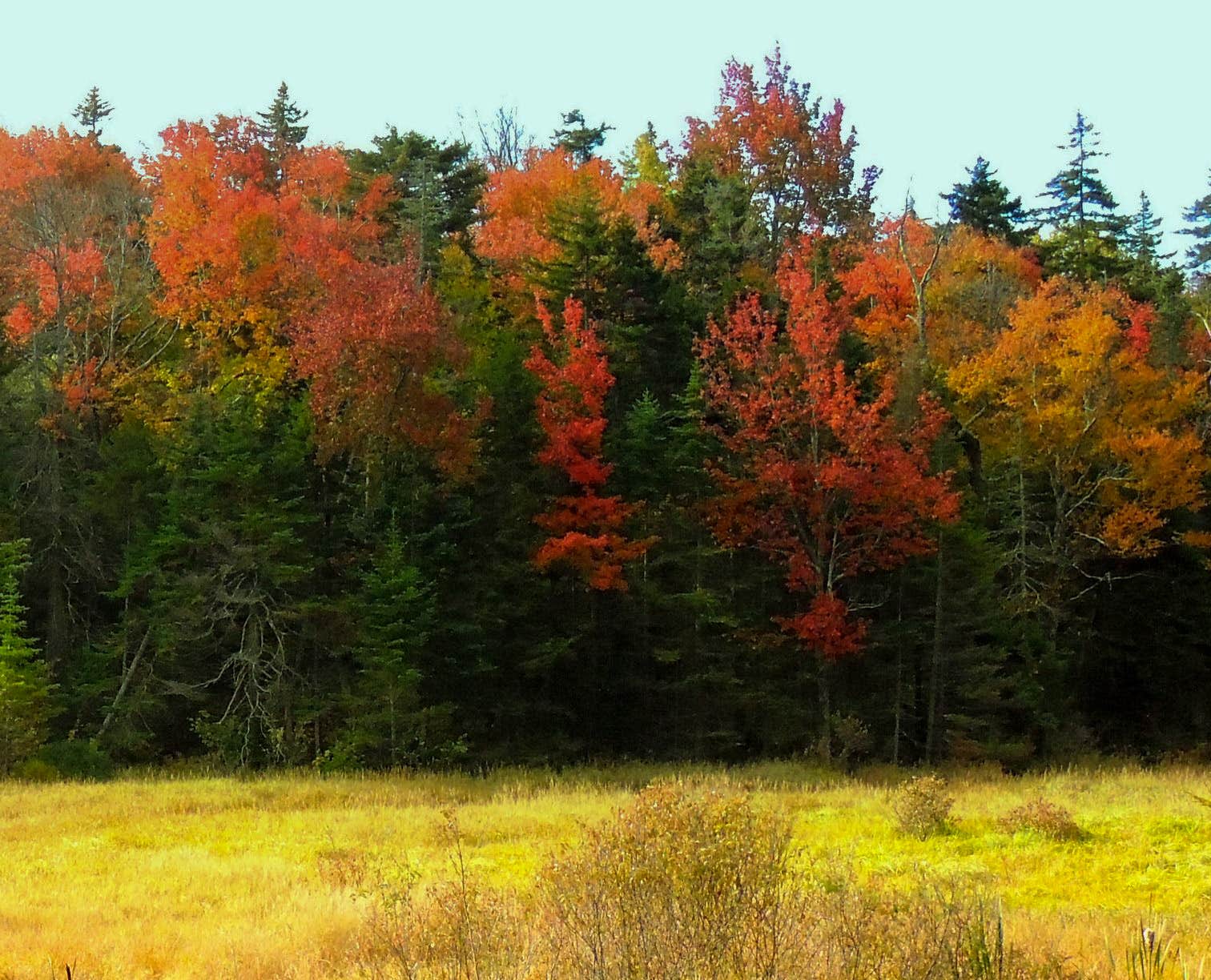 Camper submitted image from Woodford State Park Campground - 2