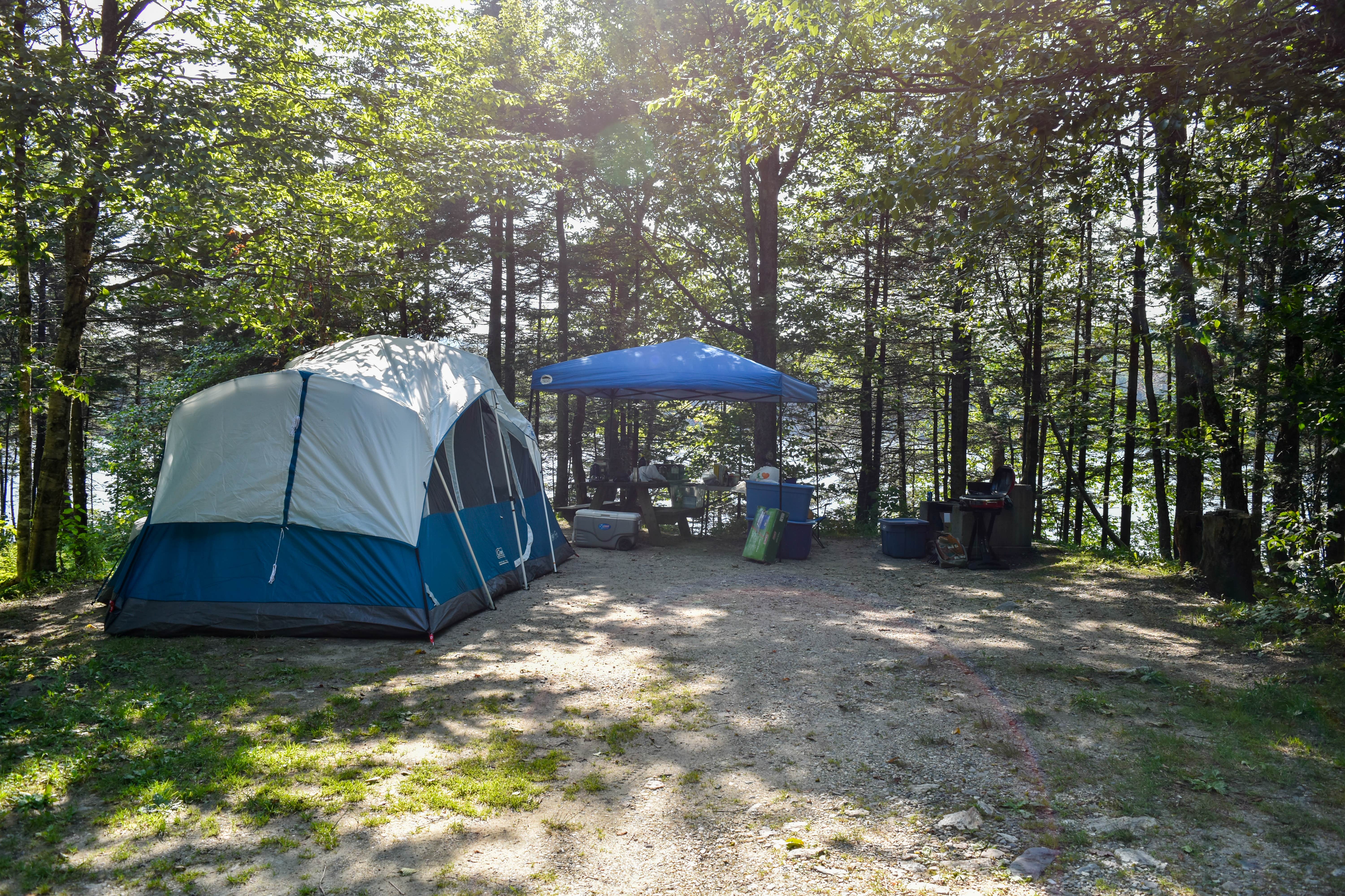 Tara S.'s photo at Woodford State Park Campground near Arlington, VT