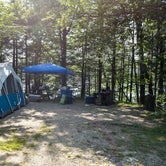 Review photo of Woodford State Park Campground by Tara S., September 25, 2017