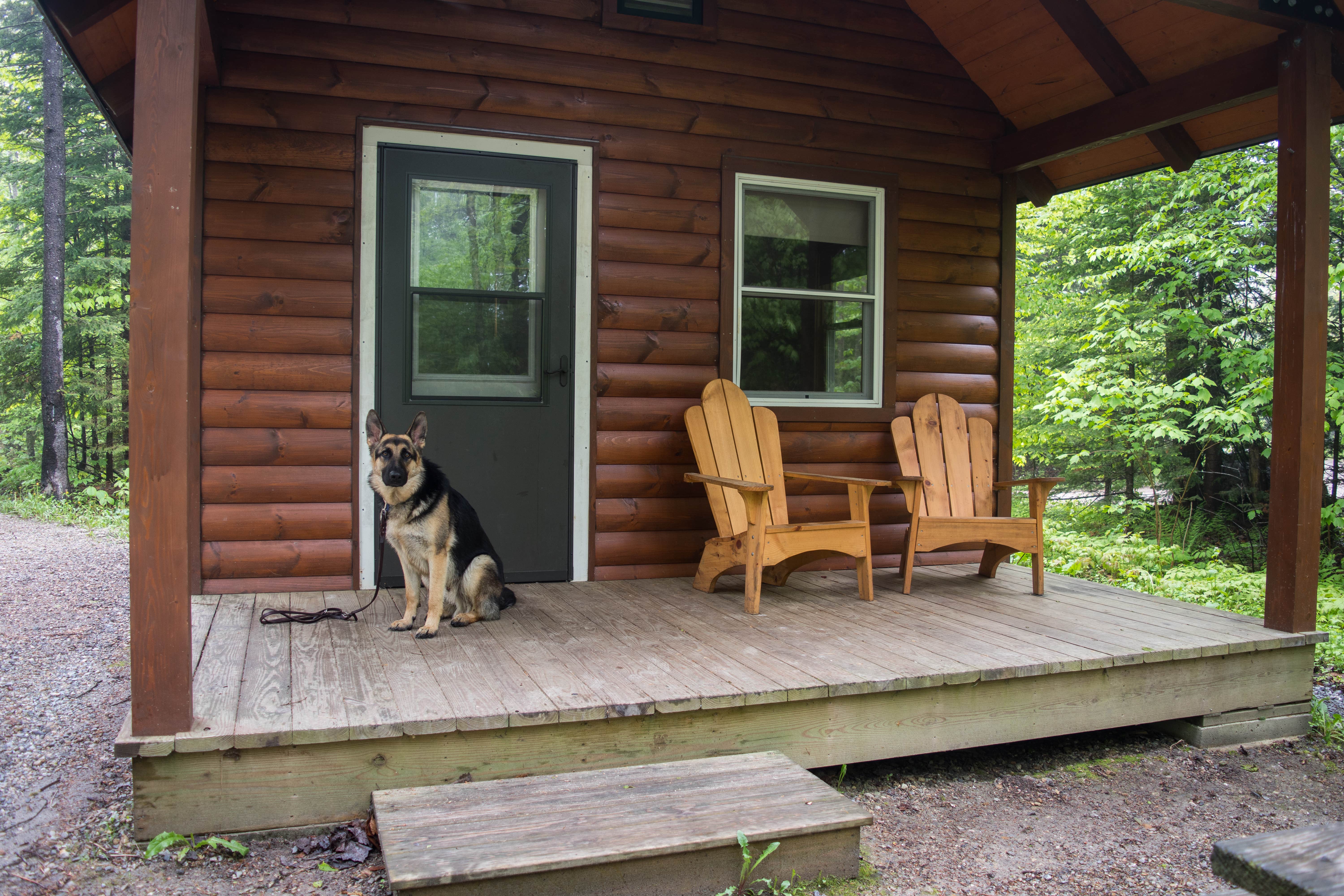 Camper submitted image from Woodford State Park Campground - 2
