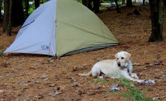 Camping near Happy Hill Backcountry Shelter on the AT in Vermont — Appalachian National Scenic Trail: Quechee State Park Campground, Quechee, Vermont