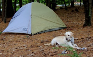 Camper-submitted photo from Quechee State Park