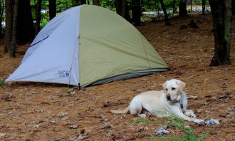 Camping near Moose Mountain Backcountry Shelter on the AT — Appalachian National Scenic Trail: Quechee State Park, Quechee, Vermont