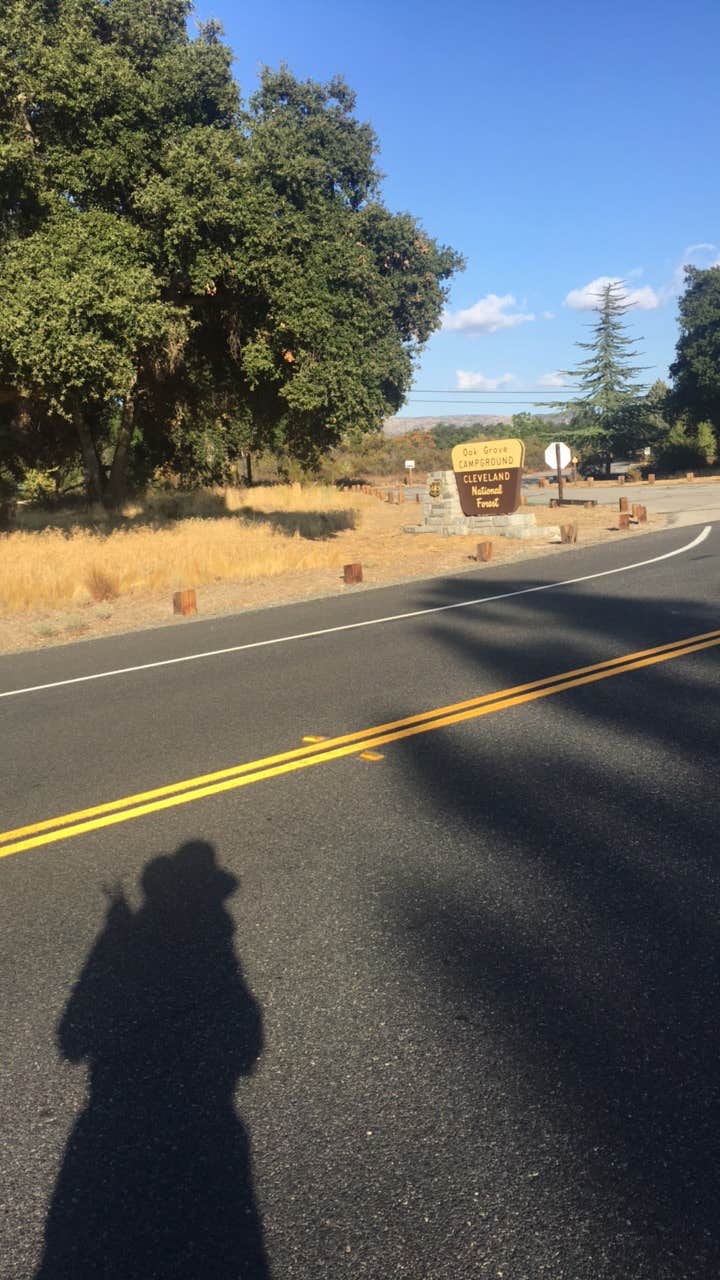 Camper submitted image from Oak Grove Campground - 3