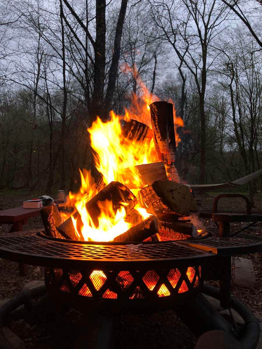 Camper submitted image from Oh! Pear Orchards - 4
