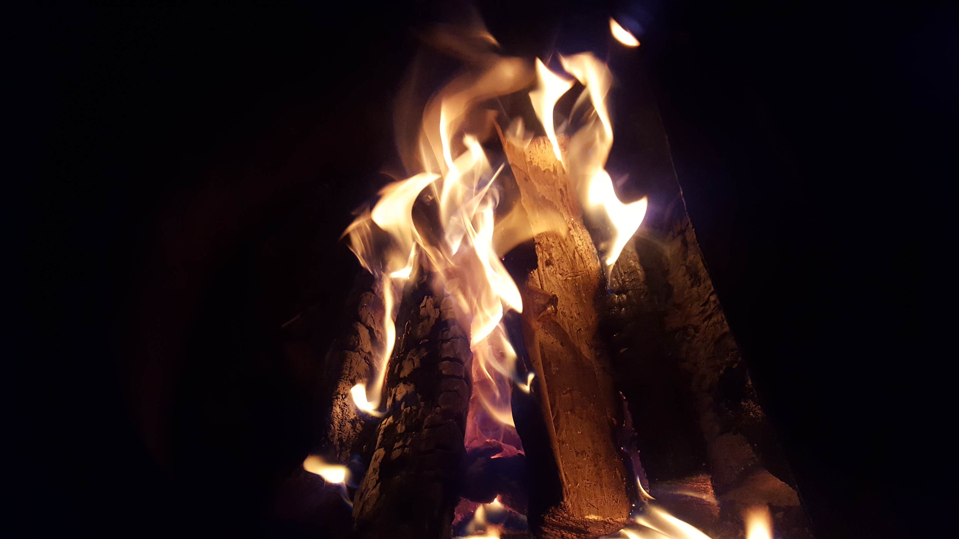 Camper submitted image from Spruce Grove - 4