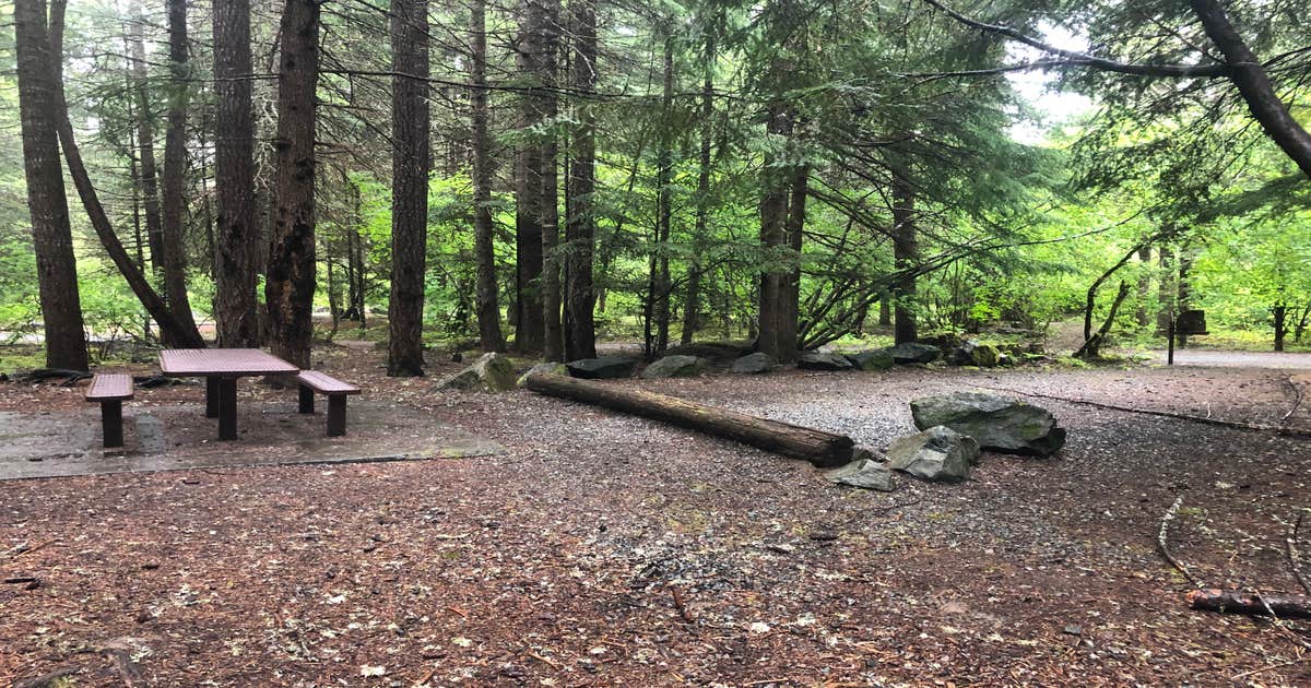 Elderberry Flats Campground Camping The Dyrt