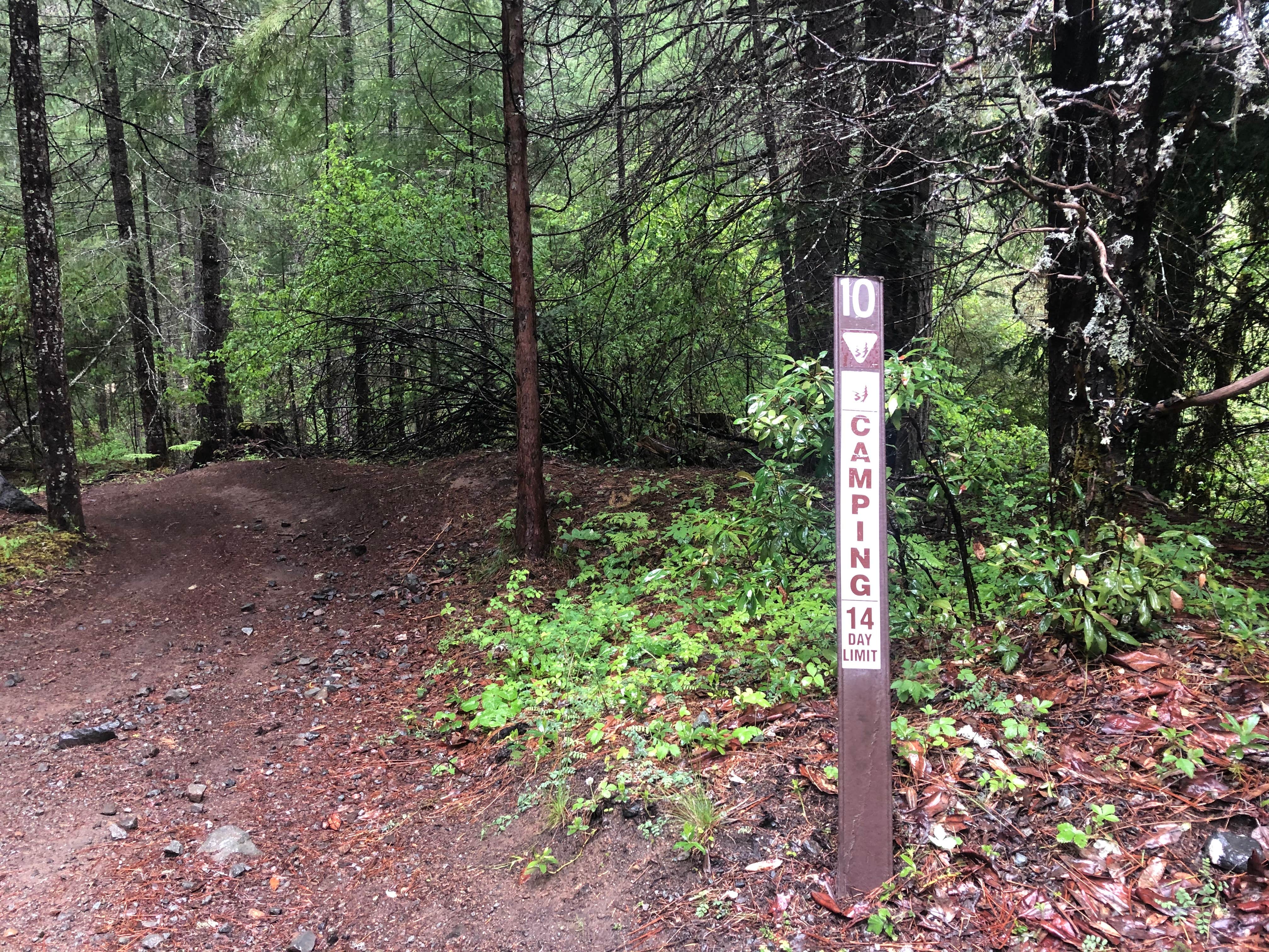 Road down to dispersed campsites