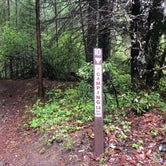 Review photo of Elderberry Flats Campground by Jennifer  C., May 14, 2020
