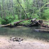 Review photo of Elderberry Flats Campground by Jennifer  C., May 14, 2020