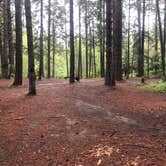 Review photo of Elderberry Flats Campground by Jennifer  C., May 14, 2020