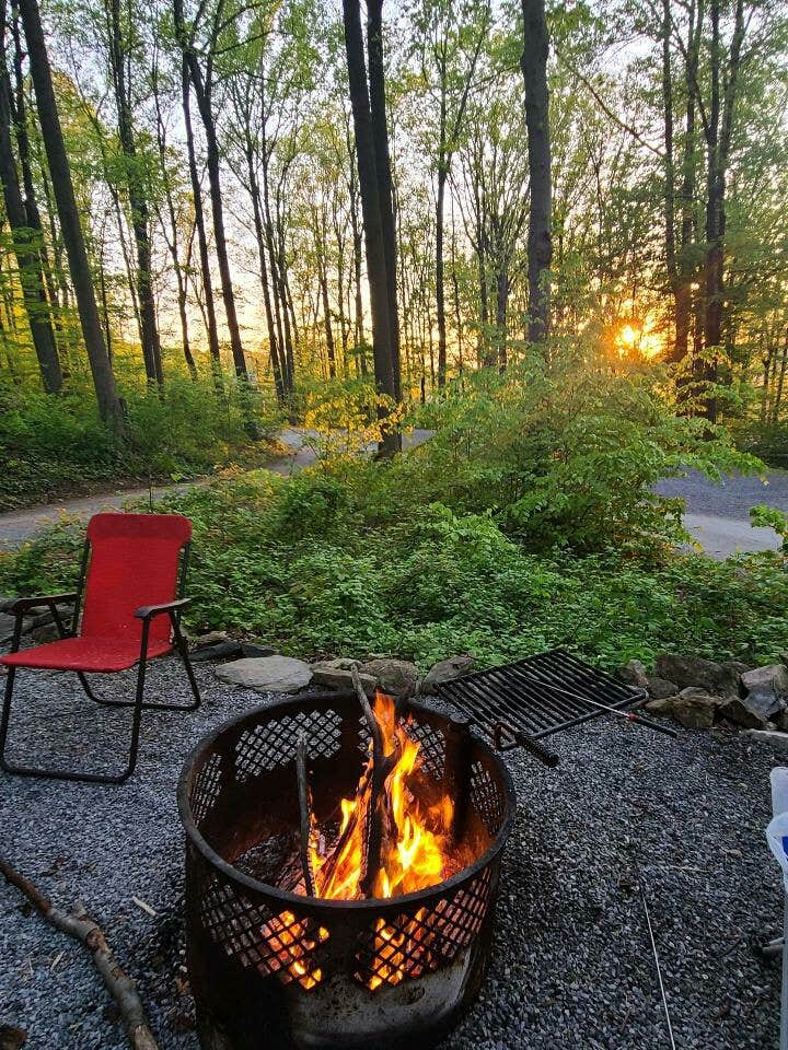 Camper submitted image from The Loose Caboose Campground - 4
