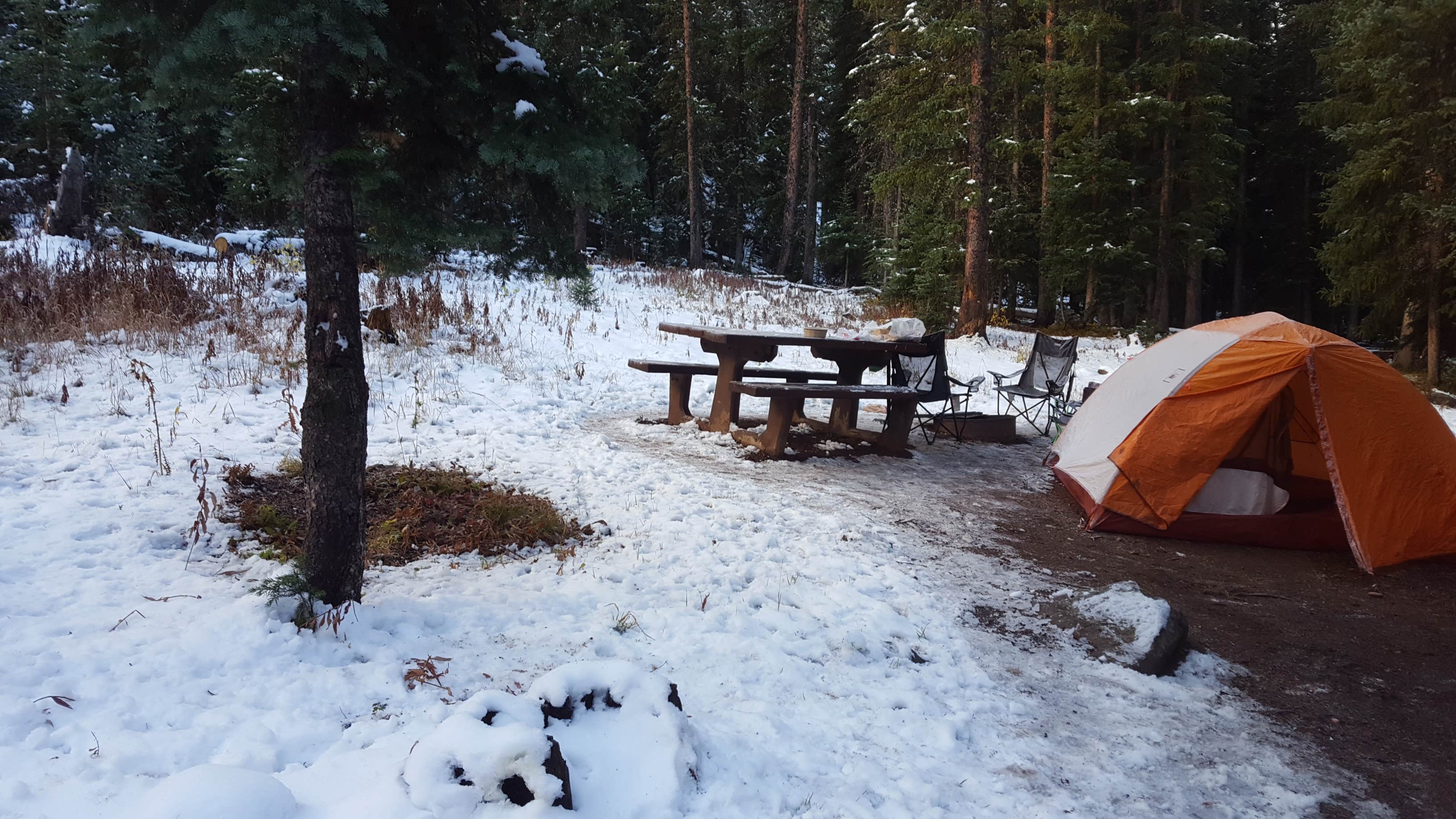 Melissa K.'s photo at Spruce Grove near Delta, CO