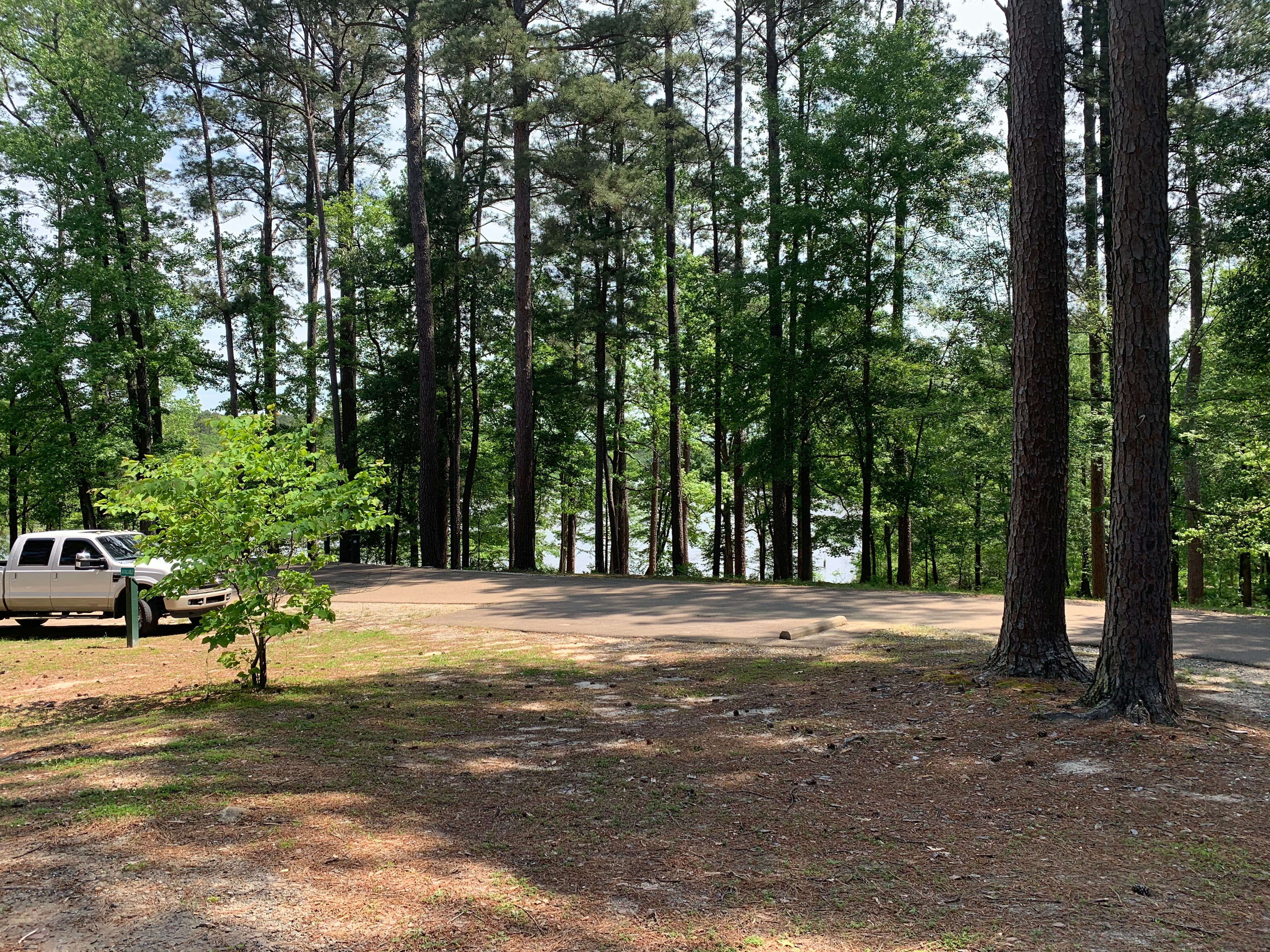 Camper submitted image from White Oak Lake State Park Campground - 2