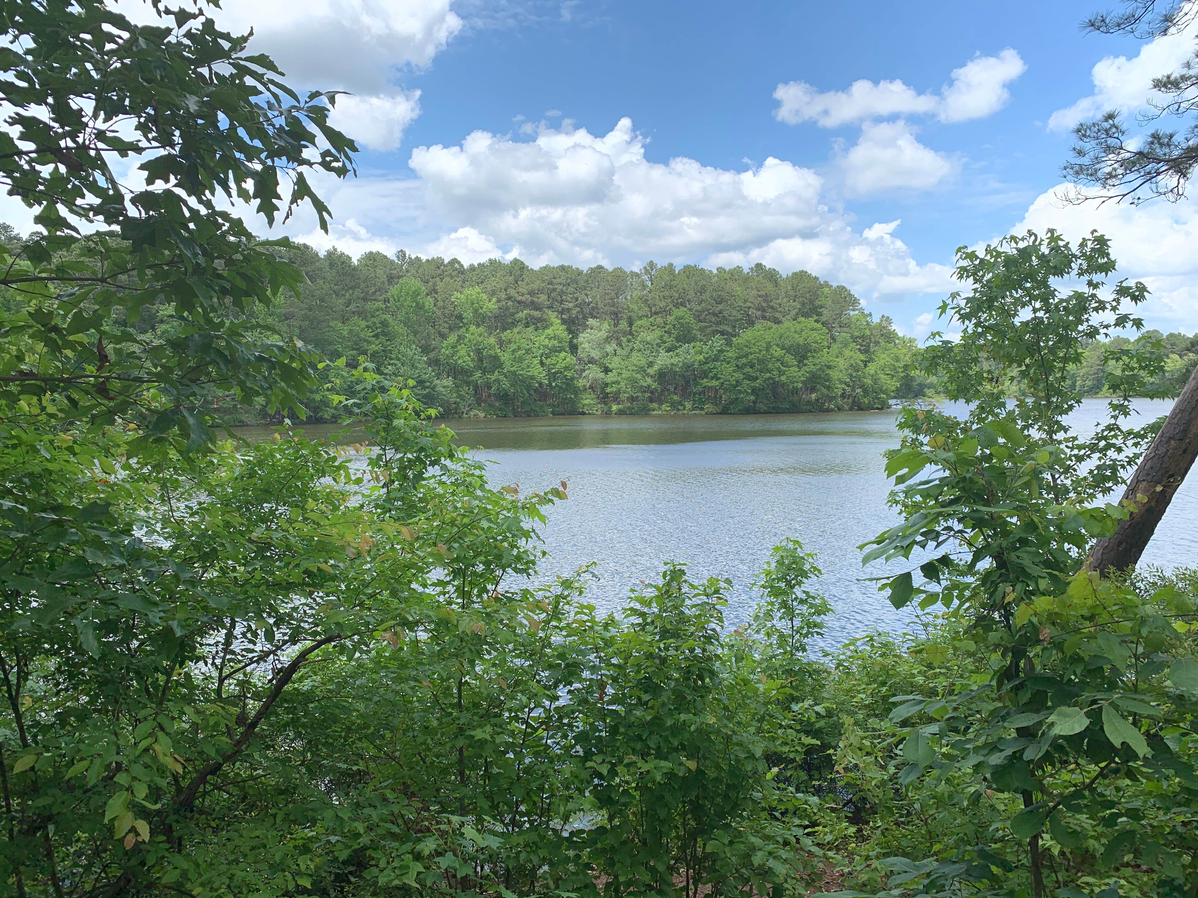 Camper submitted image from White Oak Lake State Park Campground - 5