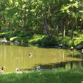 Review photo of Wildwood State Park Campground by Amber A., June 30, 2016