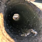 Review photo of South Beach State Park Campground by Erik C., May 15, 2020