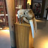 Review photo of South Beach State Park Campground by Erik C., May 15, 2020