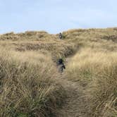 Review photo of South Beach State Park Campground by Erik C., May 15, 2020